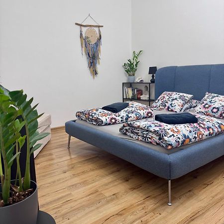 Susilova 14 Apartments IV プルジェロフ エクステリア 写真